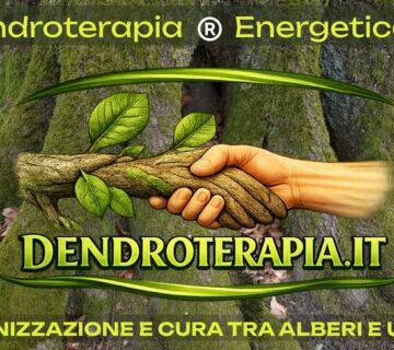 dendroterapia-dapi